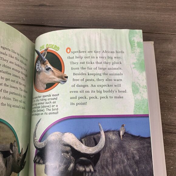 Disney's Year Book 2004, Wonderful World of Reading, Vintage Book 2004, Hardback - Picture 8 of 10